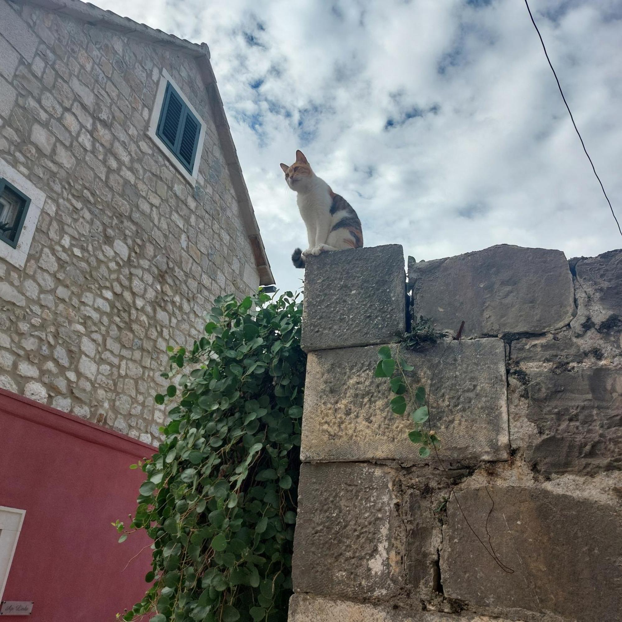 San Marco Makarska Quarto foto